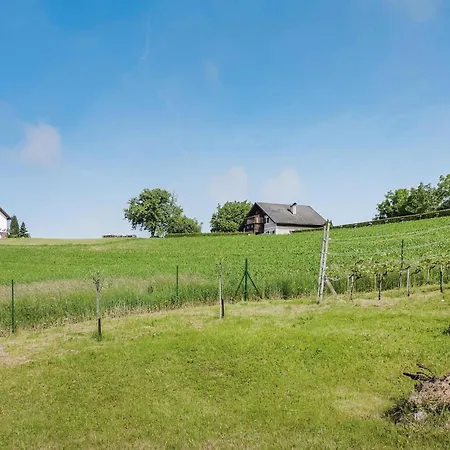 In * Feldbach (Styria)