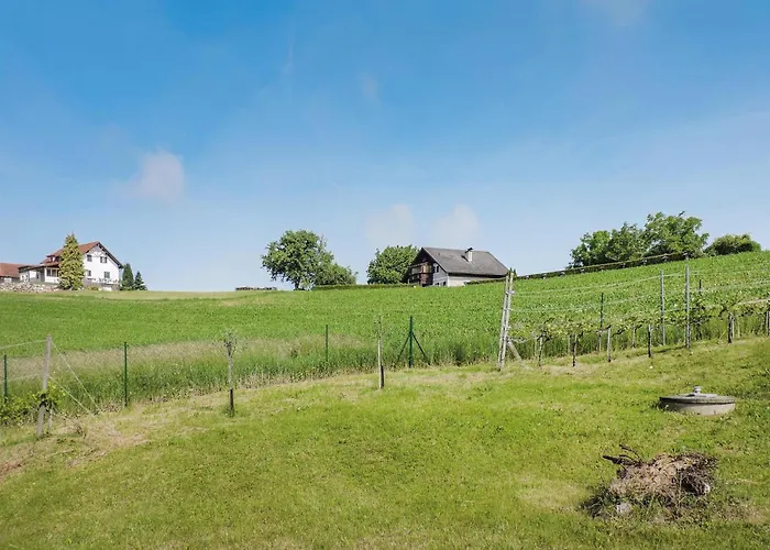 In * Feldbach (Styria)